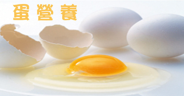 3261